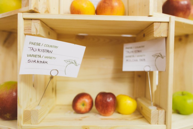 2016-09-20-italy-127