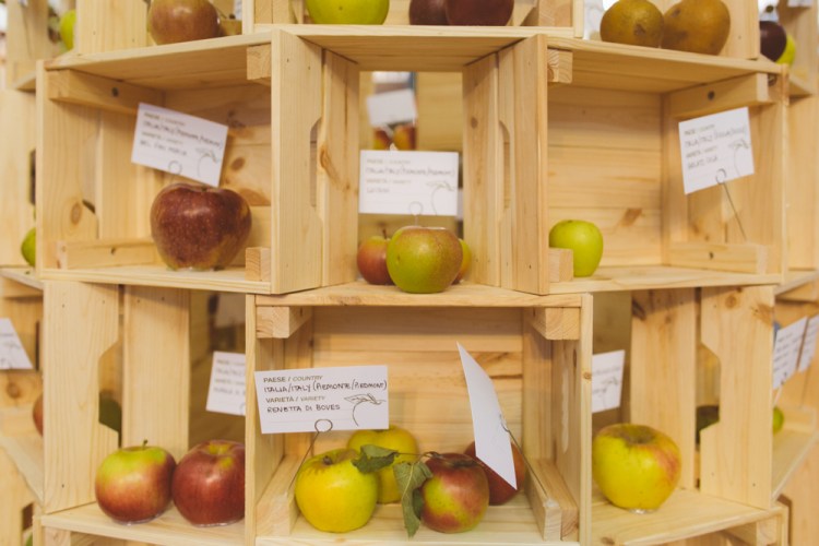 2016-09-20-italy-131