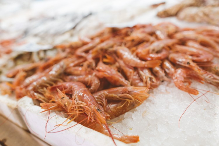 2016-09-20-italy-141