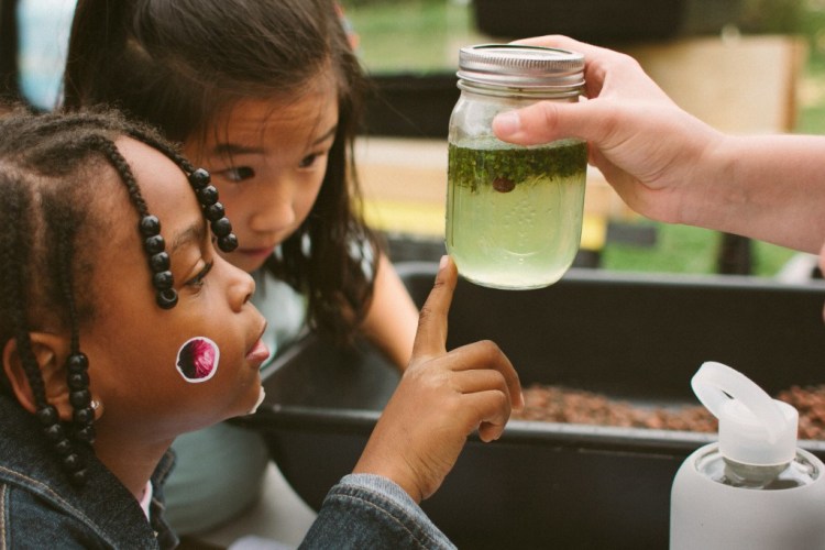 2016-03-19-Farm-Scavenger-Hunt-9-1024x683