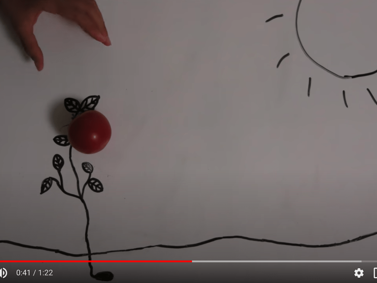 Tomatoes: Social Studies&nbsp;Activities